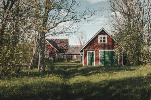 Laane County Estonia 19 May 2025 View of traditional red wooden houses with green doors nestled in a lush green meadow surrounded by trees on Vormsi island.