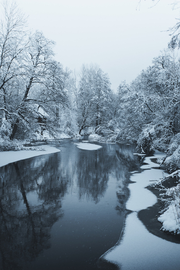 View of the snow covered river and forest in Pohja Korvemaa Nature Reserve Harju County Estonia. View of the snow covered river and forest in Pohja Korvemaa Nature Reserve Harju County Estonia.