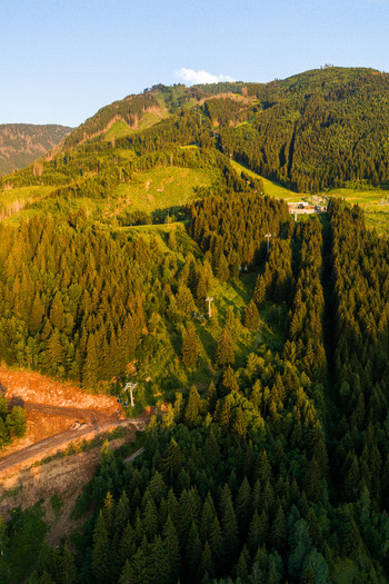 Aerial view of Val di Fiemme featuring lush pine forests mountain slopes and ski lift infrastructure illuminated by the warm light of the golden hour in Trentino Alto Adige Italy.