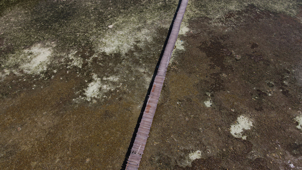 Aerial view of a long wooden pier extending over the shallow textured waters of the reef Raja Ampat Southwest Papua Indonesia.