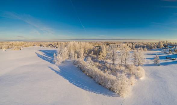 Aerial view of a snow covered landscape with frost covered trees under a clear blue sky in Latvia. Aerial view of a snow covered landscape with frost covered trees under a clear blue sky in Latvia.