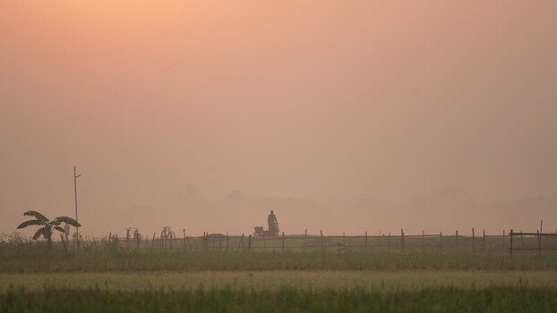View of a person cycling through misty fields at dawn Bangladesh. View of a person cycling through misty fields at dawn Bangladesh.