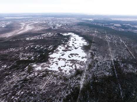Aerial view of the frozen Skaista Lake surrounded by snow covered bogland and sparse pine trees in Babites pagasts Marupes novads Latvia. Aerial view of the frozen Skaista Lake surrounded by snow covered bogland and sparse pine trees in Babites pagasts Marupes novads Latvia.
