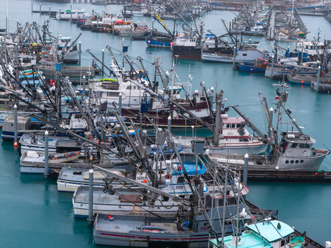 Aerial view of fishing boats docked at the Cordova Harbor and Port Department with masts and rigging under a soft light in Cordova Alaska United States. Aerial view of fishing boats docked at the Cordova Harbor and Port Department with masts and rigging under a soft light in Cordova Alaska United States.