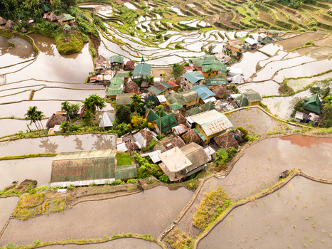 Aerial view of the Batad Rice Terraces and a village with traditional houses surrounded by flooded agricultural steps in Banaue Cordillera Administrative Region Philippines.