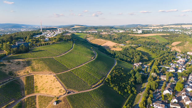 Aerial view of the vineyards surrounding the city of Trier in the Moselle valley featuring lush green hills rolling landscapes and summer sunlight in Trier Rhineland Palatinate Germany. Aerial view of the vineyards surrounding the city of Trier in the Moselle valley featuring lush green hills rolling landscapes and summer sunlight in Trier Rhineland Palatinate Germany.