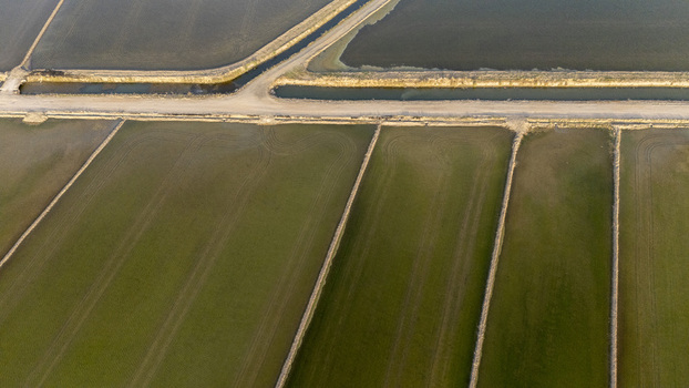 Aerial view of the geometric patterns of rice fields and irrigation canals at Isla Minima Coria del Rio Andalusia Spain. Aerial view of the geometric patterns of rice fields and irrigation canals at Isla Minima Coria del Rio Andalusia Spain.