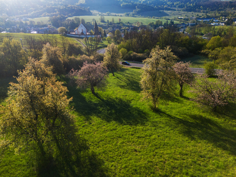 Aerial view of the Church of St. Martin surrounded by blossoming fruit trees and lush green meadows under soft morning light in Cerin Banskobystricky kraj Slovakia. Aerial view of the Church of St. Martin surrounded by blossoming fruit trees and lush green meadows under soft morning light in Cerin Banskobystricky kraj Slovakia.