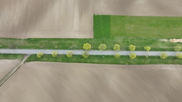 Aerial view of road with trees France.