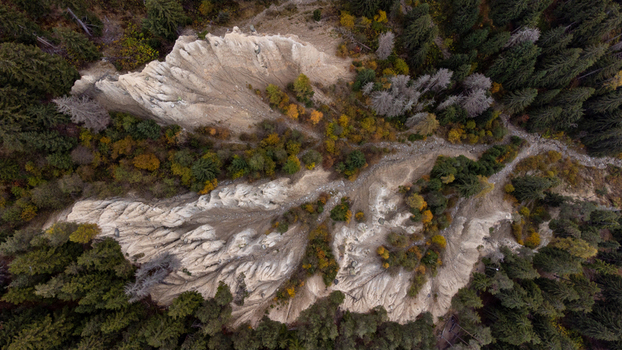 Aerial view of the Erdpyramiden Percha earth pyramids surrounded by dense forest with autumn foliage in Plata Trentino Alto Adige Italy.