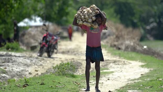 View of a man carrying a heavy load on a rural path Bangladesh.