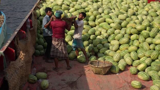 View of workers unloading watermelons at Sadarghat Bangladesh.