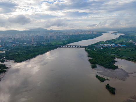 Aerial view of the Thane Creek with lush mangroves a bridge crossing the water and the urban skyline in the background in Thane Maharashtra India. Aerial view of the Thane Creek with lush mangroves a bridge crossing the water and the urban skyline in the background in Thane Maharashtra India.