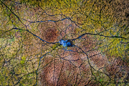 Aerial view of intricate water channels and marshland vegetation with a small blue pond in Debrzno Pomeranian Voivodeship Poland.