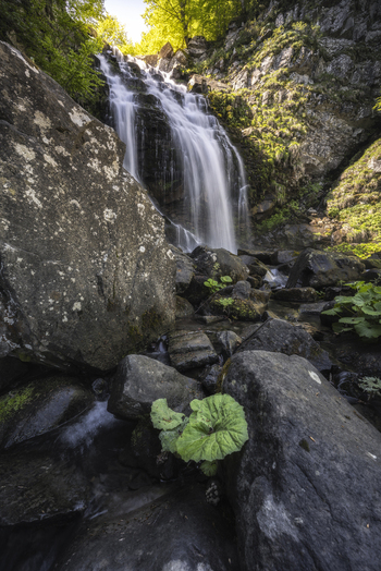 View of cascading waterfall over rocky terrain sunlit foliage peeks through creating a serene natural scene Lizzano In Belvedere Emilia Romagna Italy. View of cascading waterfall over rocky terrain sunlit foliage peeks through creating a serene natural scene Lizzano In Belvedere Emilia Romagna Italy.