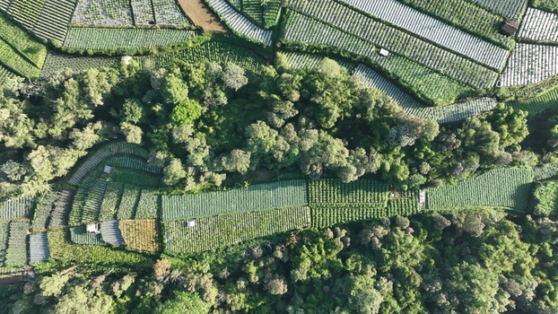 Aerial view of Senja Pagi Cafe And Glamping surrounded by lush green terraced vegetable fields and dense forest in the hilly landscape of Kecamatan Ngablak Jawa Tengah Indonesia. Aerial view of Senja Pagi Cafe And Glamping surrounded by lush green terraced vegetable fields and dense forest in the hilly landscape of Kecamatan Ngablak Jawa Tengah Indonesia.