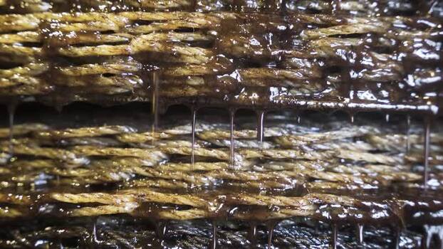 View of traditional olive oil extraction process with dripping oil Greece.