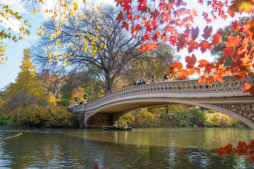 Manhattan United States 08 November 2025 View of Bow Bridge in Central Park adorned with vibrant autumn foliage reflecting in the serene lake as a small boat drifts gently below. Manhattan United States 08 November 2025 View of Bow Bridge in Central Park adorned with vibrant autumn foliage reflecting in the serene lake as a small boat drifts gently below.