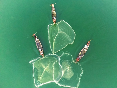 Khansama Upazila Bangladesh 11 June 2026 Aerial view of fishermen standing in small wooden boats and casting circular nets on the bright green waters of a river.