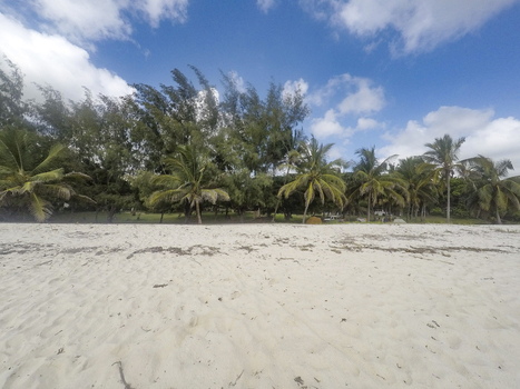 View of Tiwi Beach with its white sand palm trees and lush green foliage under a blue sky with clouds Tiwi Wilaya ya Kwale Kenya. View of Tiwi Beach with its white sand palm trees and lush green foliage under a blue sky with clouds Tiwi Wilaya ya Kwale Kenya.
