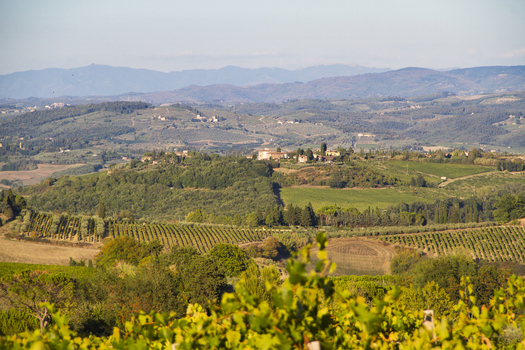 View of rolling hillsides with vineyards and olive groves blanketed in warm sunlight creating a picturesque landscape San Gimignano Tuscany Italy. View of rolling hillsides with vineyards and olive groves blanketed in warm sunlight creating a picturesque landscape San Gimignano Tuscany Italy.