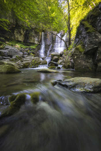 View of cascading waterfall plunges amidst moss covered rocks framed by lush green foliage and sun dappled light creating a serene and tranquil scene Lizzano In Belvedere Italy. View of cascading waterfall plunges amidst moss covered rocks framed by lush green foliage and sun dappled light creating a serene and tranquil scene Lizzano In Belvedere Italy.
