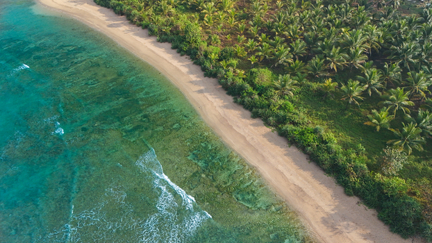 Aerial view of a tropical beach with turquoise water white sand and lush palm trees in Indonesia. Aerial view of a tropical beach with turquoise water white sand and lush palm trees in Indonesia.