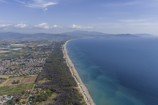 Aerial view of the long sandy coastline and dense pine forest bordering residential areas under a clear blue sky in Paestum Campania Italy.