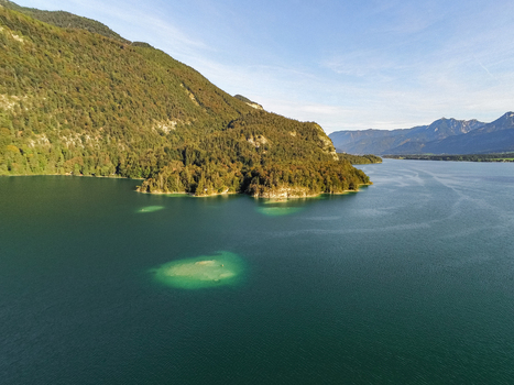 Aerial view of the forested peninsula extending into the clear turquoise waters of the lake in Salzburg Umgebung Salzburg Austria.