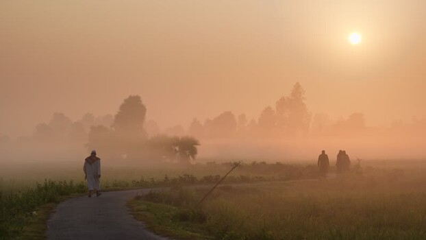 View of people walking on a rural path during sunrise Bangladesh.