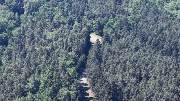 Aerial view of a narrow road winding through a dense forest France.