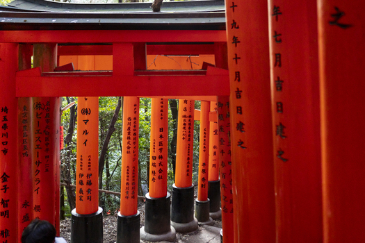 View of the iconic Senbon Torii vermilion gates with black bases and Japanese inscriptions at Fushimi Inari taisha in Kyoto Kyoto Japan.
