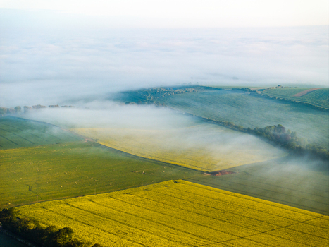 Aerial view of vibrant yellow rapeseed fields and green pastures partially shrouded in thick morning mist under soft light Nuffield Oxfordshire United Kingdom. Aerial view of vibrant yellow rapeseed fields and green pastures partially shrouded in thick morning mist under soft light Nuffield Oxfordshire United Kingdom.