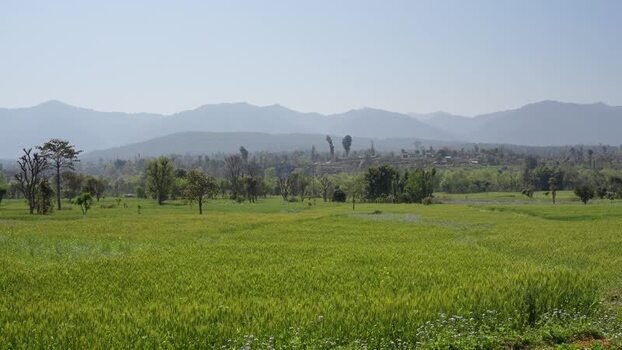 View of lush green fields and distant mountains in Nepal.