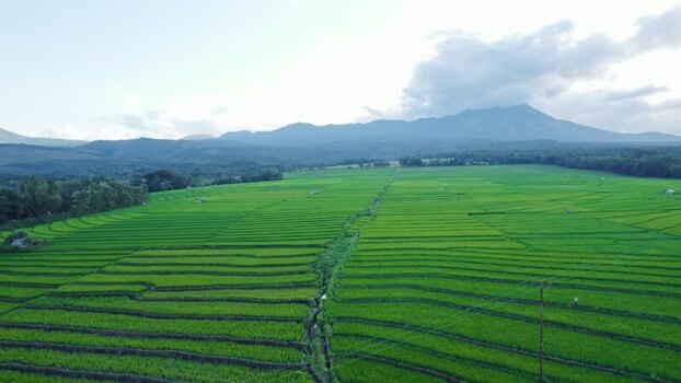 Aerial view of lush green rice terraces and mountains Indonesia. Aerial view of lush green rice terraces and mountains Indonesia.