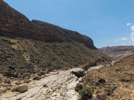 Aerial view of the rugged canyon floor carved by ancient streams with towering cliffs casting deep shadows Kalysan canyon Socotra Yemen. Aerial view of the rugged canyon floor carved by ancient streams with towering cliffs casting deep shadows Kalysan canyon Socotra Yemen.