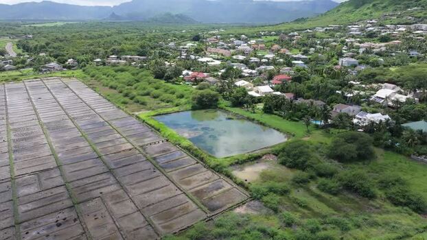 Aerial view of Salines de Yemen Tamarin salt pans Mauritius. Aerial view of Salines de Yemen Tamarin salt pans Mauritius.