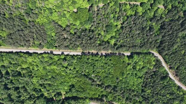 Aerial view of a winding road through a dense green forest France.