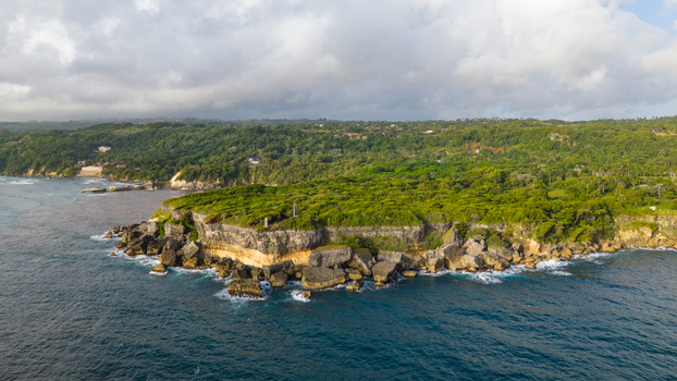 Aerial view of the rugged cliffs and lush green vegetation of Cabo Frances Viejo along the rocky coastline of the Atlantic Ocean in Cabrera Maria Trinidad Sanchez Dominican Republic.