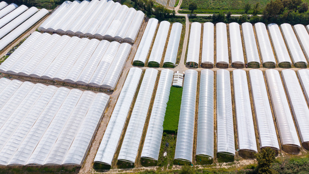 Aerial view of greenhouses for growing vegetables such as cucumbers tomatoes eggplants and peppers in San Giuliano Milanese Lombardy Italy. Aerial view of greenhouses for growing vegetables such as cucumbers tomatoes eggplants and peppers in San Giuliano Milanese Lombardy Italy.