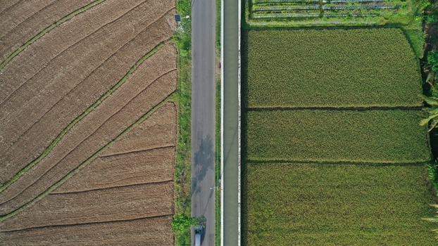 Aerial view of the historic Buk Renteng irrigation canal structure separating lush green rice paddies from dry agricultural fields in Kecamatan Tempel Daerah Istimewa Yogya Indonesia.