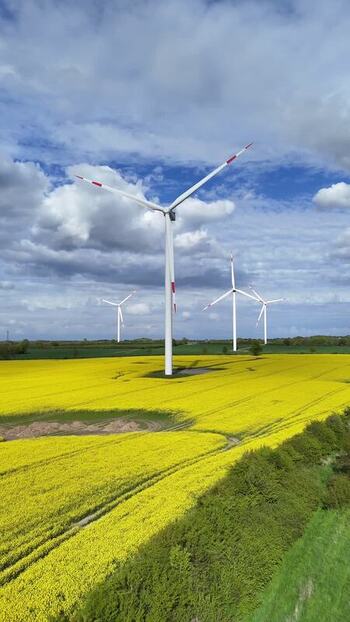 Aerial view of wind turbines in a rapeseed field Germany. Aerial view of wind turbines in a rapeseed field Germany.