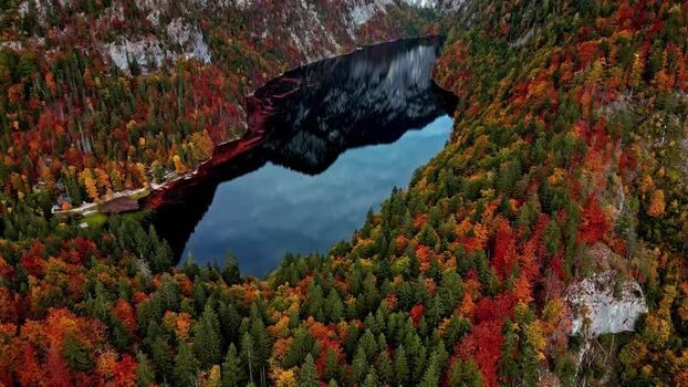 Aerial view of Attersee surrounded by autumn forests Austria.