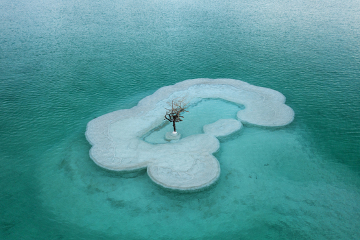 Aerial view of a solitary tree standing amidst the surreal white salt formations contrasting against the turquoise waters of the Dead Sea Arad South District Israel. Aerial view of a solitary tree standing amidst the surreal white salt formations contrasting against the turquoise waters of the Dead Sea Arad South District Israel.