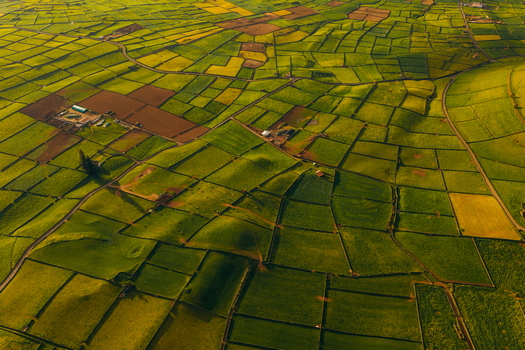 Aerial view of the lush green patchwork fields and stone walls of Pico Dona Joana geodesico under the warm golden light of sunset in Feteira Acores Portugal. Aerial view of the lush green patchwork fields and stone walls of Pico Dona Joana geodesico under the warm golden light of sunset in Feteira Acores Portugal.