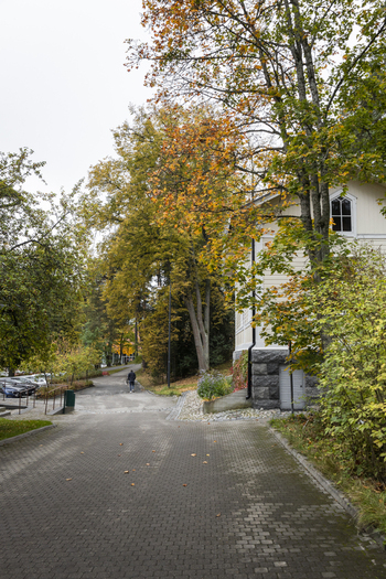 View of a paved path leading through a park with autumn trees and a light colored wooden building in Jyvaskyla Central Finland Finland.