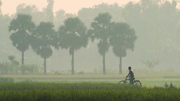View of a man riding a bicycle past palm trees in Bogura Bangladesh.