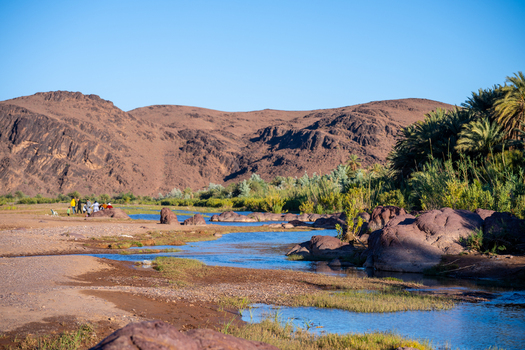 View of Fint Oasis with a river flowing through rocky desert terrain lush palm trees and people gathered on the riverbank in Tarmigte Draa Tafilalet Morocco.