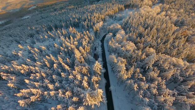 FPV aerial view of a snowy forest road Germany.