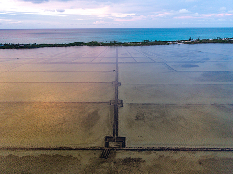 Aerial view of Salt Pond showing geometric evaporation basins and a central path under a twilight sky with the ocean in the background in Exuma Exuma The Bahamas.